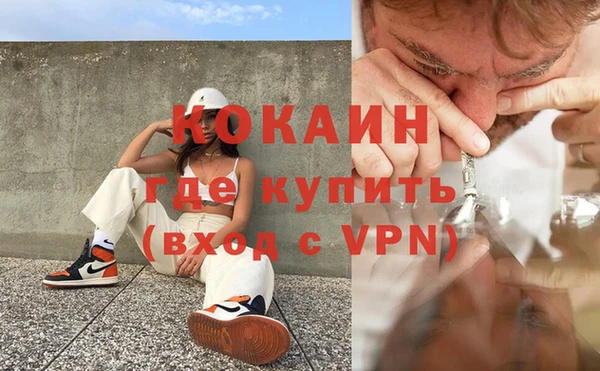 гашик Алексин