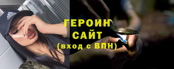 гашик Алексин