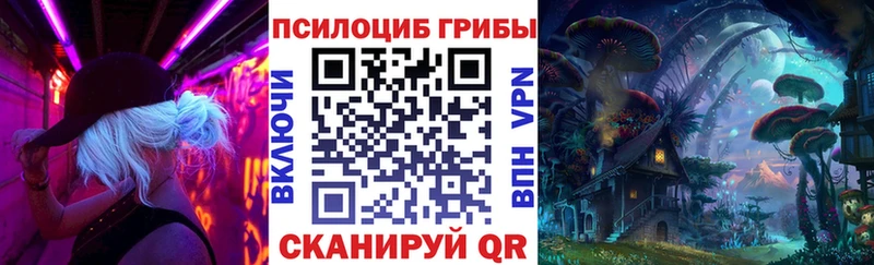 закладки  Канск  Псилоцибиновые грибы прущие грибы 