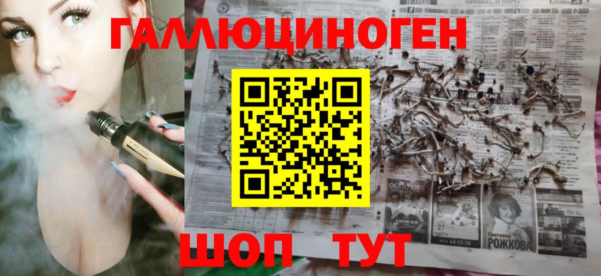 Галлюциногенные грибы прущие грибы  Вход с VPN  Канск  Галлюциногенные грибы Psilocybe 