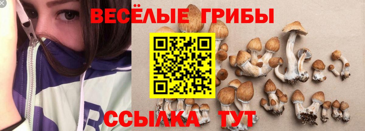 Галлюциногенные грибы прущие грибы Канск